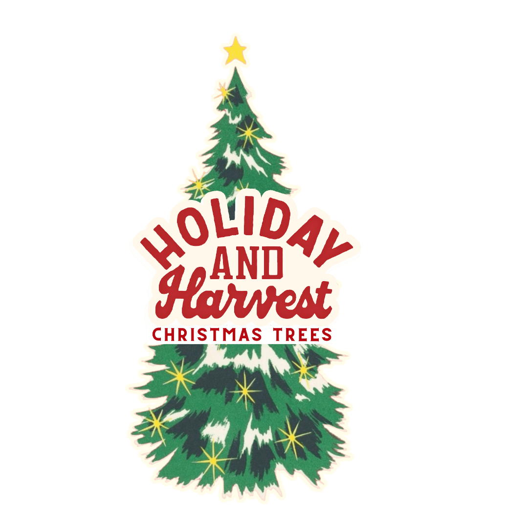 Nordmann, Noble and Douglas Firs near me