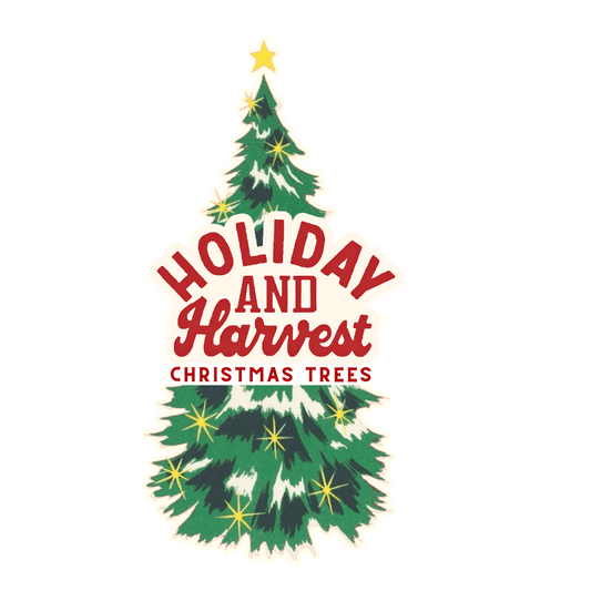 Nordmann, Noble and Douglas Firs near me