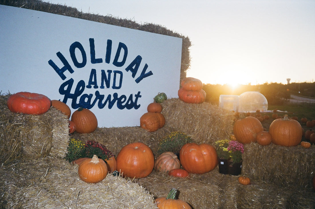 Best Pumpkin Patch in Austin, TX.