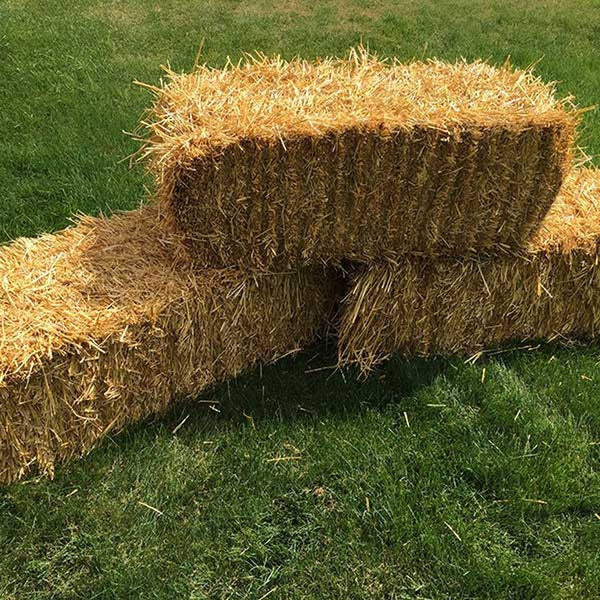 Small straw hay bales for wholesale display staging in Austin