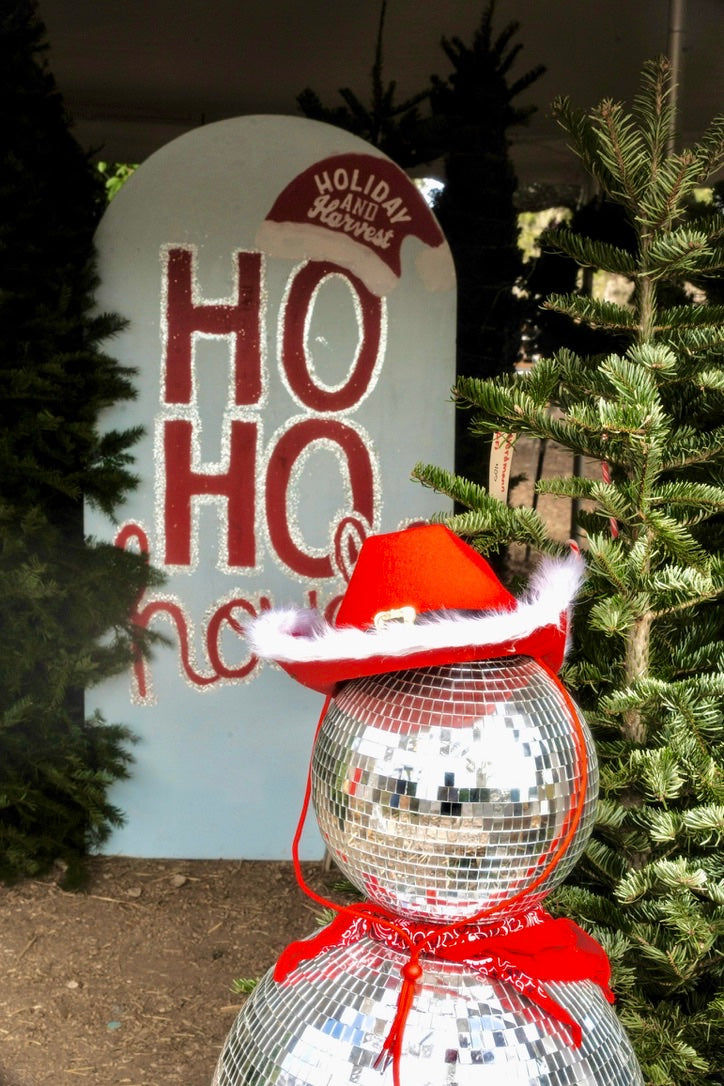 The disco-ball snowman in his red hat by the Ho Ho Howdy board.