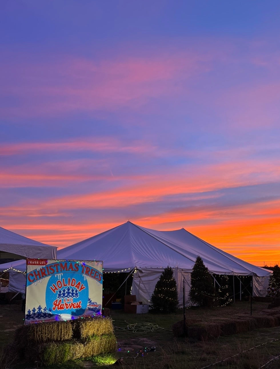 The tent at the Dripping Springs lot on Mercer Street at sunset, opening week